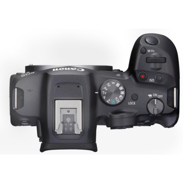 Canon EOS R7 + RF 70-200 F4 L IS USM